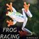 frog racing's Avatar